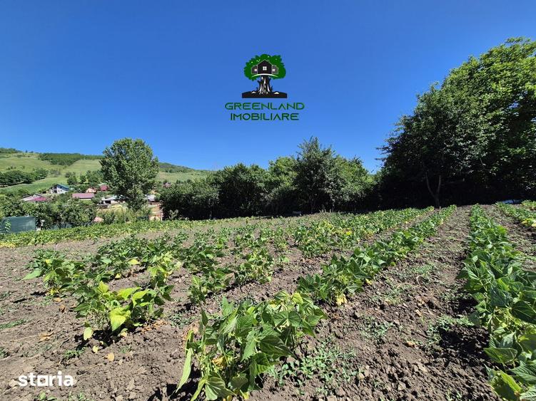 Casă cu 4 camere cu Teren 3024 Mp în Popricani