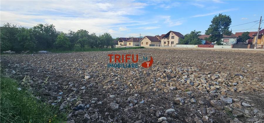 Teren Construcții intravilan de 2453 mp, în Ighiu