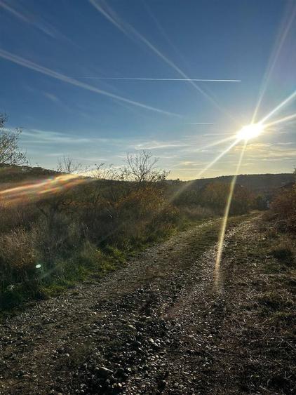 Teren intravilan de 668 mp, în Săldăbagiu de Munte