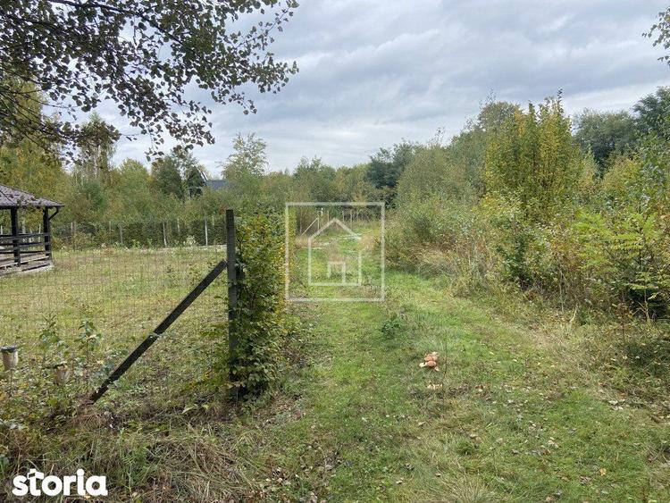 Teren intravilan 520 mp Valea Avrigului ideal cabana A-frame - 6