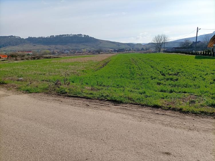 Teren Construcții intravilan de 1292 mp, în Bonțida