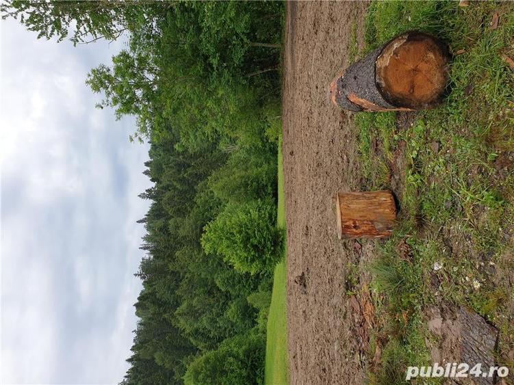 Teren de 934 mp, în Bucium