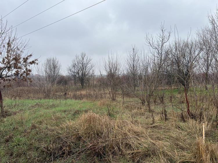 Teren Construcții extravilan de 8874 mp, în Tărtășești