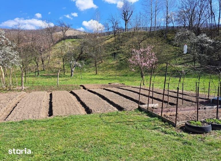 Casă cu 6 camere cu Teren 2150 Mp în Orăștioara de Sus
