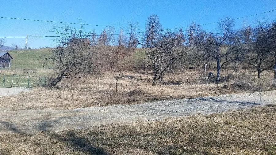 Teren de 1600 mp, în Vișeu de Mijloc