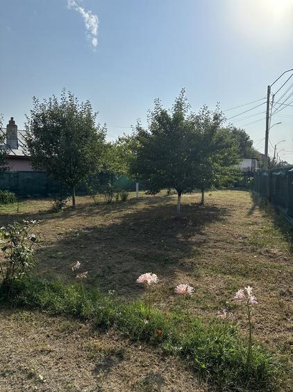 Spațiu comercial, în Tunari