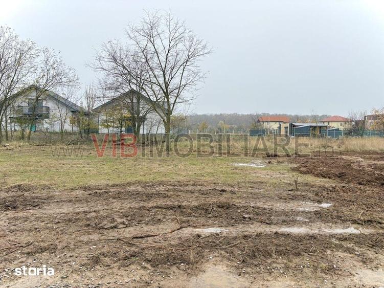 Teren intravilan de vanzare in Snagov Ciofliceni - 4