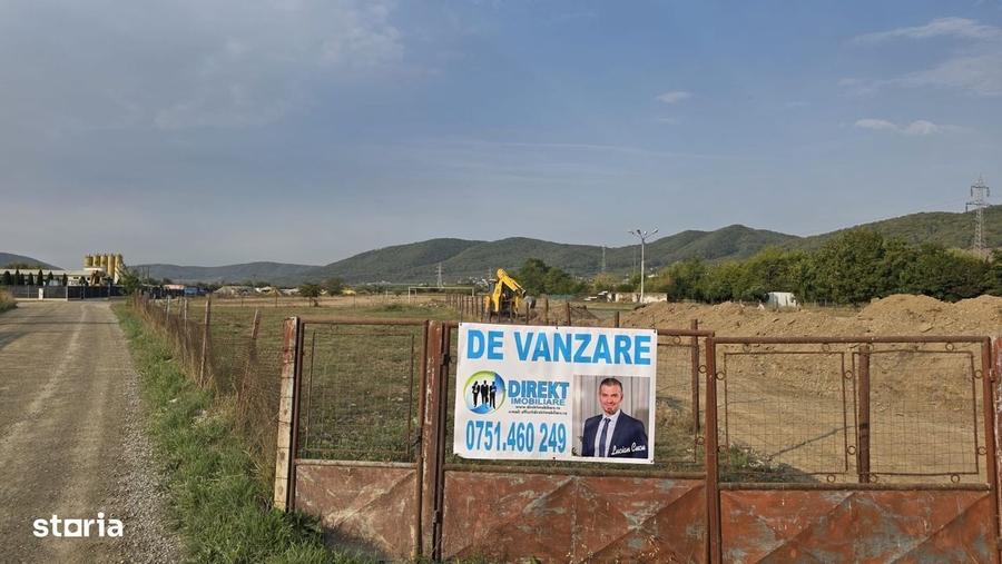 Spațiu comercial, în Viișoara