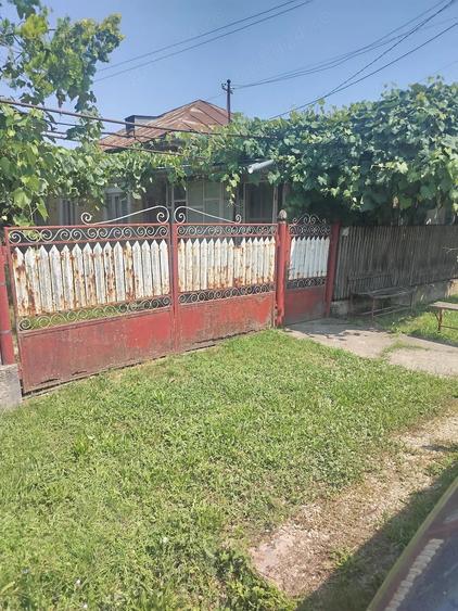 Casă cu Teren 3500 Mp în Central