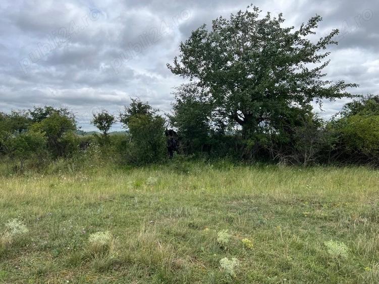 Teren de 1400 mp, în Vânători-Neamț