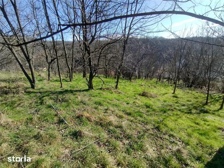 Teren de 2500 mp, în Central