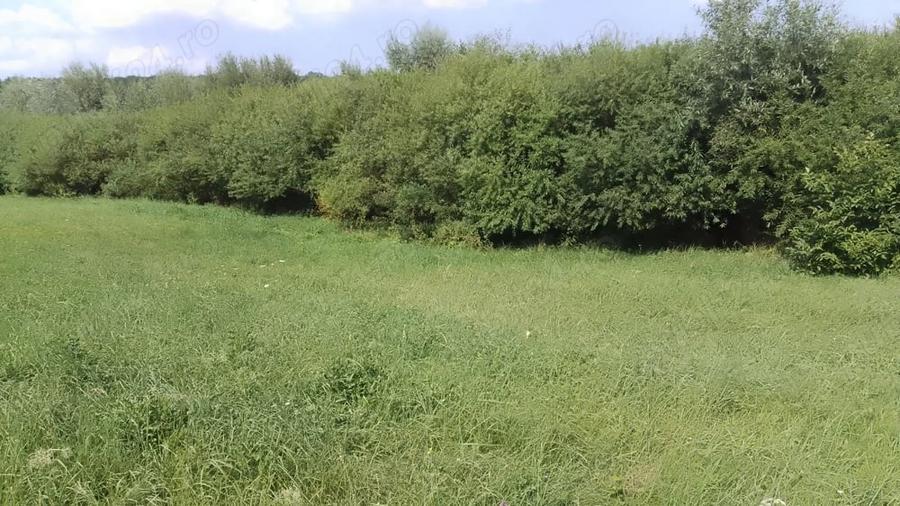 Teren de 4400 mp, în Mitocu Dragomirnei