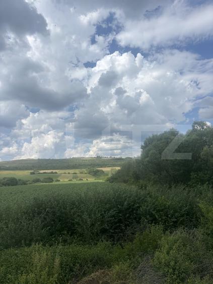 Teren agricol extravilan de 22183 mp, în Șimleu Silvaniei