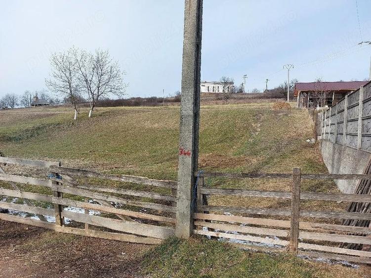 Teren de 1305 mp, în Valea Crișului