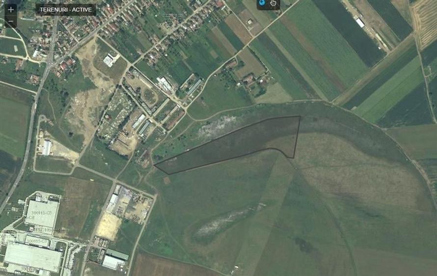 Teren agricol extravilan de 40000 mp, în Zimandu Nou