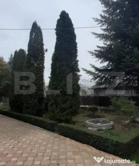 Casă cu 6 camere cu Teren 912 Mp în Pucioasa