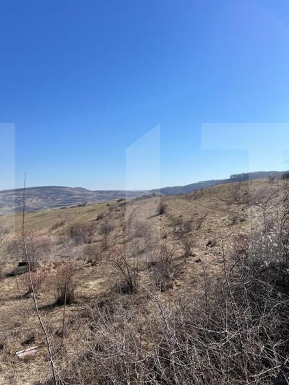 Teren agricol intravilan de 4100 mp, în Borhanci