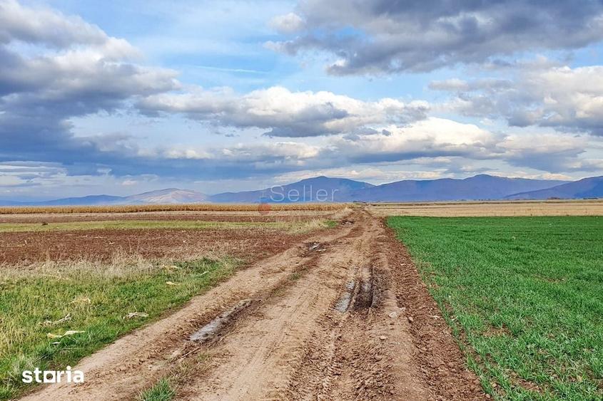 Teren de 8400 mp, în Central