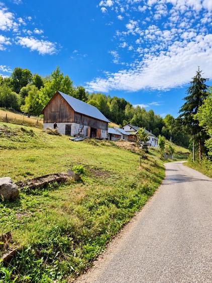 Vand proprietate cu teren Sohodol Alba - 2
