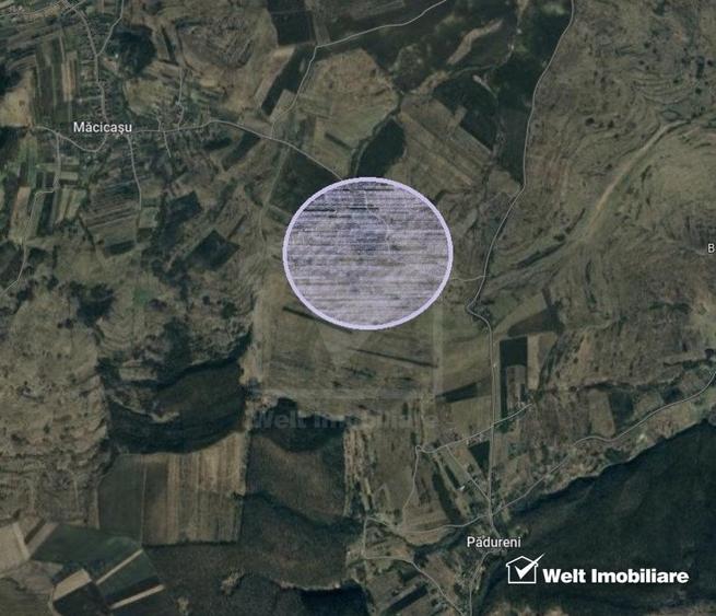 Teren agricol intravilan de 5800 mp, în Pădureni (Chinteni)