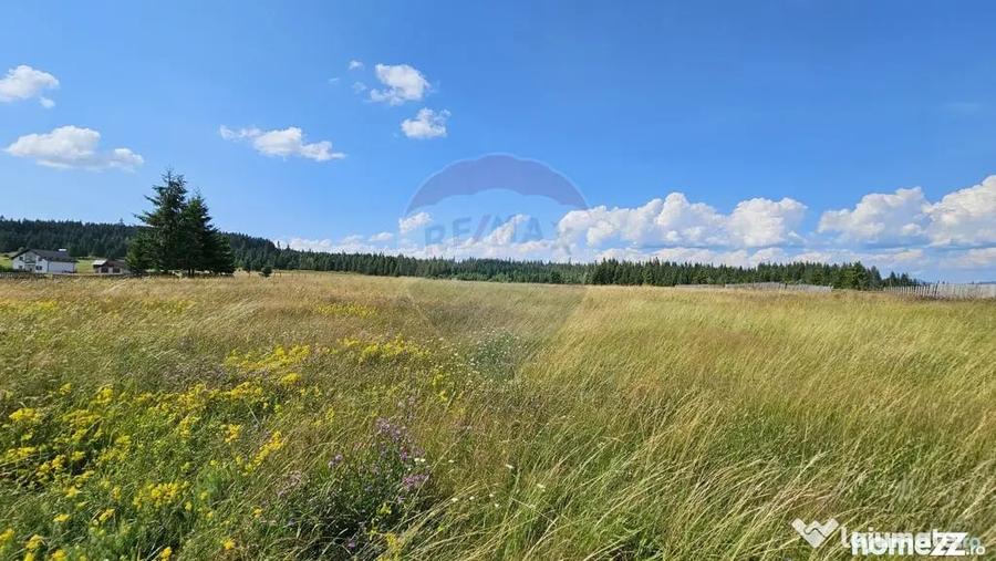 Teren de 30930 mp, în Poiana Stampei
