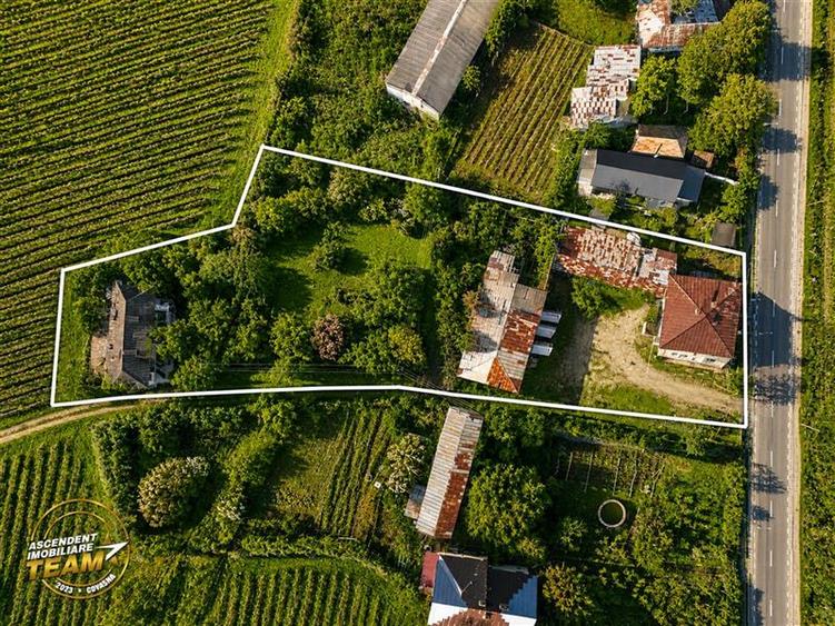 Teren Construcții intravilan de 4000 mp, în Vârteșcoiu