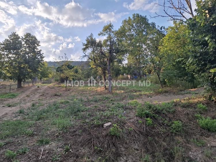 Teren agricol extravilan de 16189 mp, în Șoimari