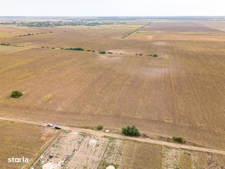 Dascalu Teren Intravilan 11300 Mp, Investitie! - 2