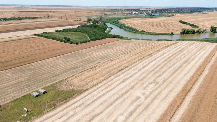 Teren Construcții extravilan de 6500 mp, în Frumușani
