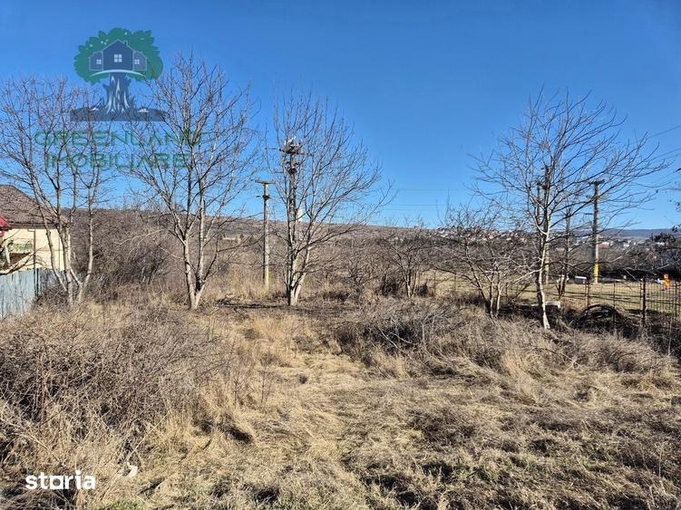 Teren de 1650 mp, în Ciurea
