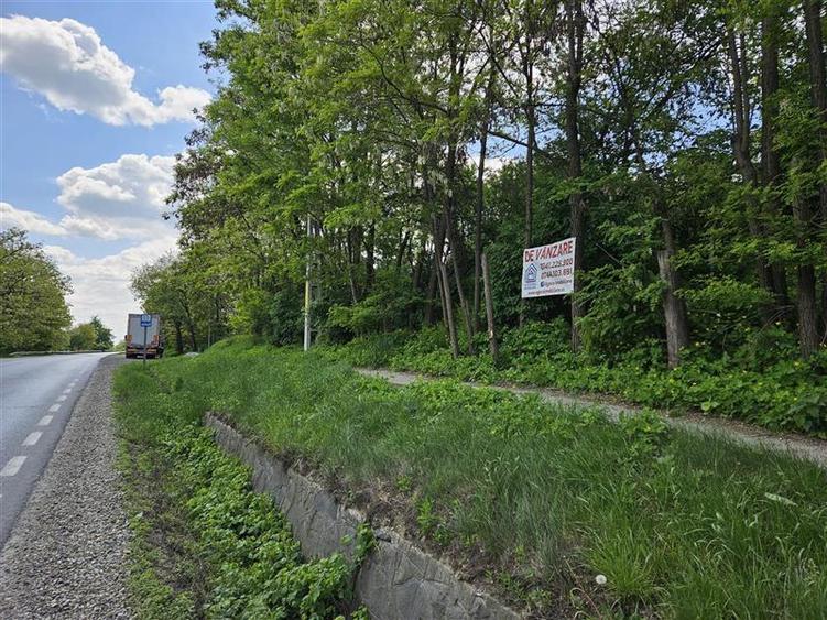 Teren intravilan de 2500 mp, în Drăgușeni