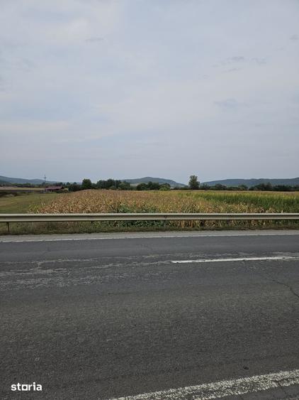 Teren de 2900 mp, în Central