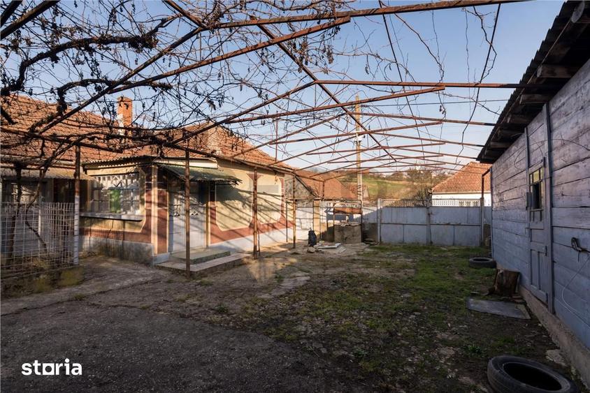 Casă cu 4 camere cu Teren 1450 Mp în Sârbi