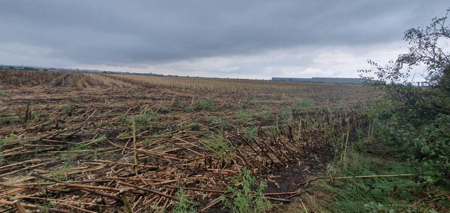 Teren agricol extravilan de 101790 mp, în Dudeștii Noi
