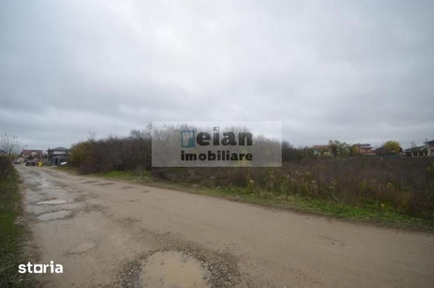 Teren de 3000 mp, în Mogoșoaia