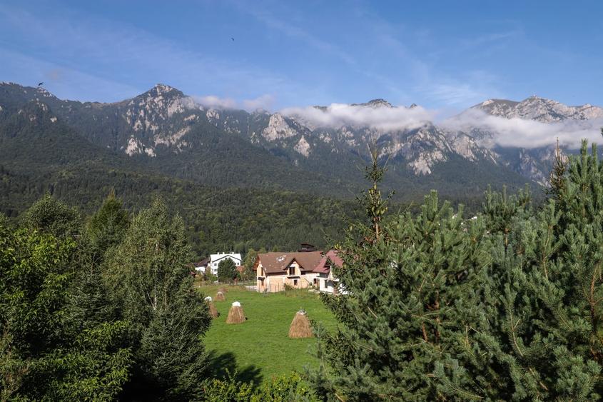 Casă individuală cu 8 camere cu Canalizare în Piatra Arsă