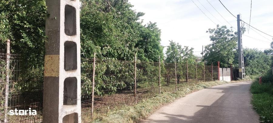 Teren de 1460 mp, în Dascălu