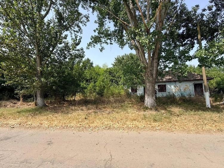 Casă cu 3 camere cu Teren 2000 Mp în Central