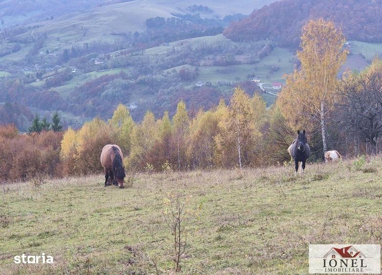 Casă cu Teren 106815 Mp în Central