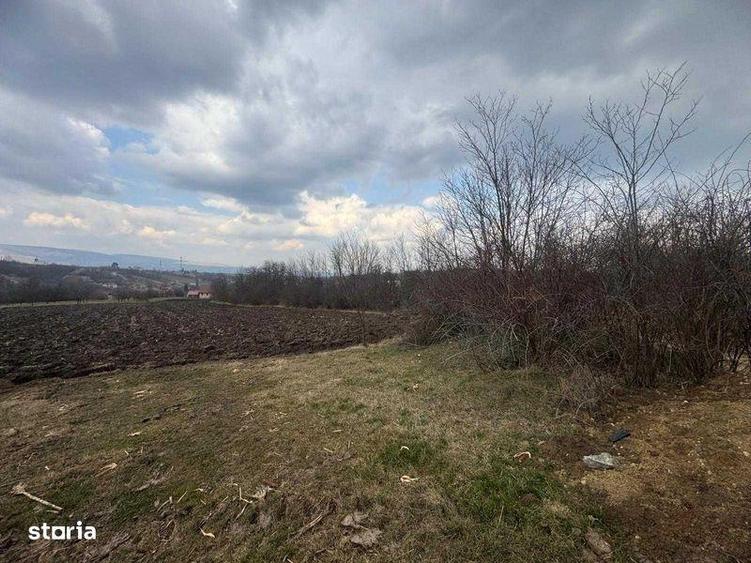 Teren de 1334 mp, în Moldovenești