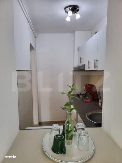 Apartament Cu 1 Camera Foarte Generos-Pozitie Excelenta - 4