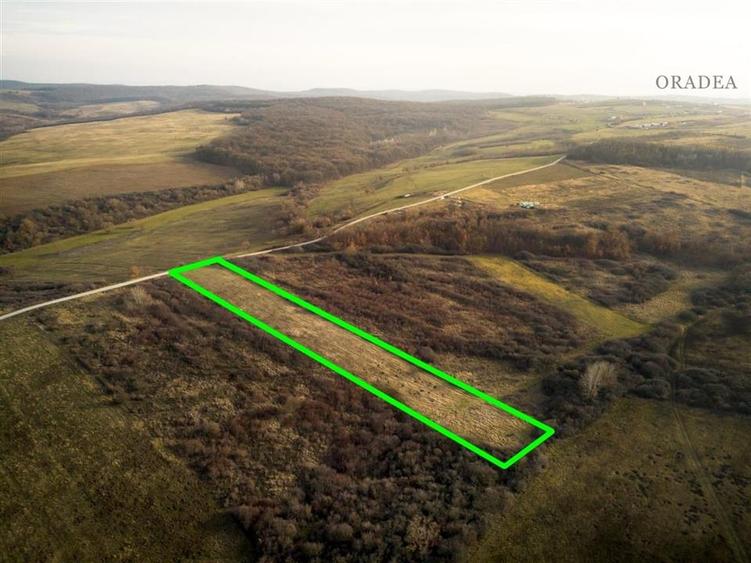 Teren Construcții intravilan de 6895 mp, în Uileacu de Munte
