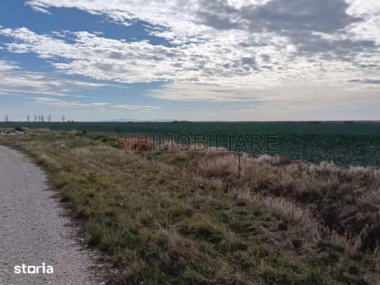 Teren de 13500000 mp, în Central
