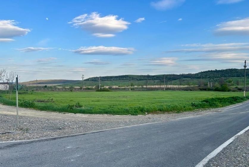 Teren Construcții intravilan de 10900 mp, în Central