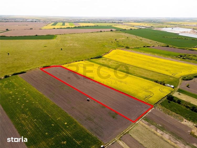 Teren de 13400 mp, în Borș