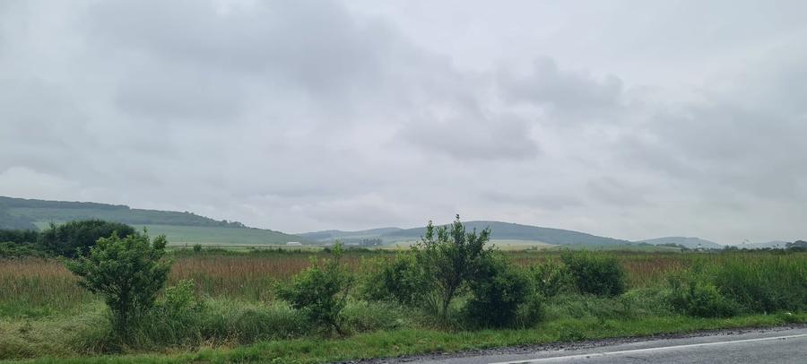 Teren extravilan de 7200 mp, în Gornești
