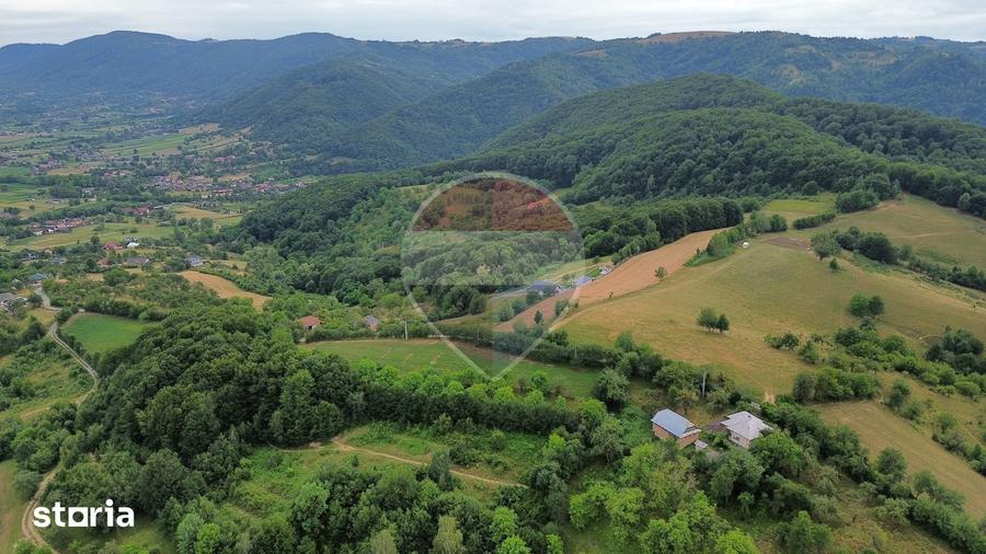 Teren de 5600 mp, în Copalnic
