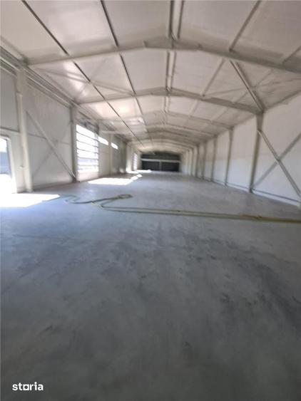 Showroom cu hala 1440 mp vizibilitate din Centura - 6