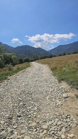 Teren de 2200 mp, în Tohănița