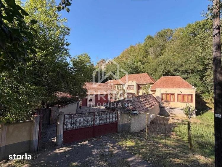 Casa 180 mp + anexe si dependinte pe teren de 2000 mp - Geoagiu de Sus - 2